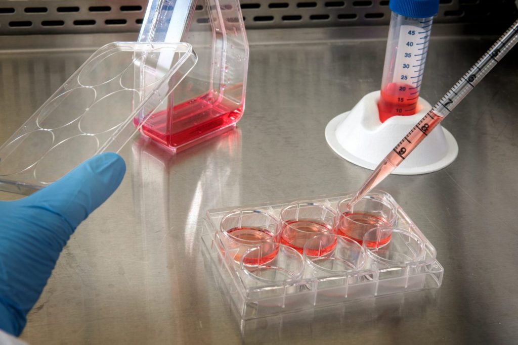 Biotech Firm’s CEO Mentions Need to Raise Bar in Immunization Even Post-Approval Biotech Firm’s CEO Mentions Need to Raise Bar in Immunization Even Post-Approval