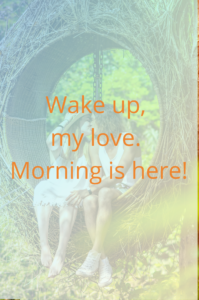 Wake up